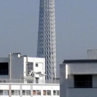 2025/6/30の朝の東京スカイツリー