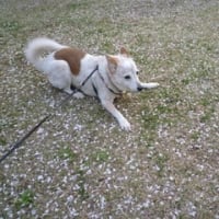 ごぶさたしております。引っ越しました。
