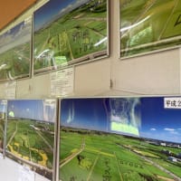 鬼滅の刃の田んぼアート🌾