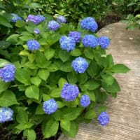 巻絹の糸まきまき