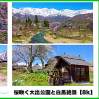 白馬村の吊り橋越に北アルプスの桜絶景