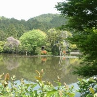 06/27奈良京都への旅-15（龍安寺、二条城、西本願寺）
