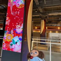 Bivi二条 新装開店！