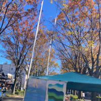 ぎふけやき祭り開催