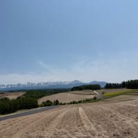 初の北海道での観光。