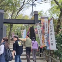 ＊murachaｎの歴史ぶらり旅！　　　＊織田信長居城！　岐阜城！