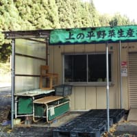 中野もみじ山と高原野菜