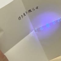 子なしサークル　2025-6月