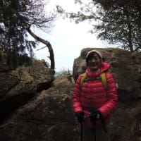 操山　　里山センター→ふれあいの辻→沢田裏山古墳→二股古墳→金蔵山古墳→石鉄山古墳　①　2016.02.22　　「262」