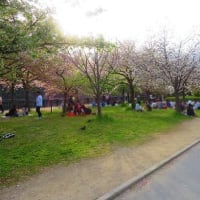 春の大阪城散歩　ミライザでコナン