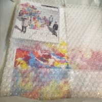 『カイト』が届きました。(※追記あり)