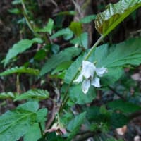 信貴山　散策