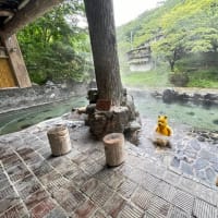 プーさん　岩手県花巻市湯口　大沢温泉　山水閣に行ったんだよおおう　その１３