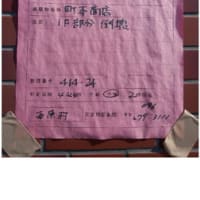 ばってん熊本！「ボランティア１日目！」