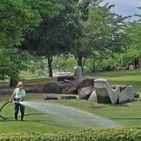 皐月の公園情景　その　7