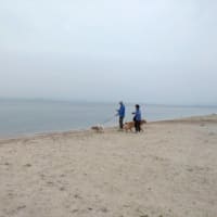 有馬・びわ湖ツアー（３）