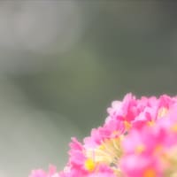 びっくり