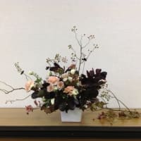 芍薬 ｃｏｐａｉｎ ｄｉａｒｙ