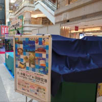 オリーブ（女房殿）がこしらえる　ある日の晩メシ