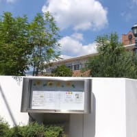 安倍昭恵元首相夫人が名誉園長を務めていた神戸の「御影インターナショナルこども園」は昔、大道学園と言う予備校があった場所に岡山の加計学園が作った。