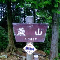 蕨山