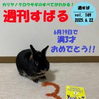 週刊すばる vol. 149