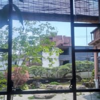 1時間半待合室で　再びのyosemite