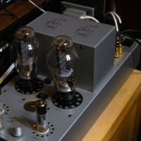 ルートヴィヒ・ヴァン・ベートーヴェン（Ludwig van Beethoven）：ピアノソナタを今回は少し古いがヴィルヘルム・バックハウスのピアノ演奏での検証。