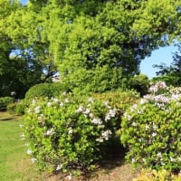 神野公園