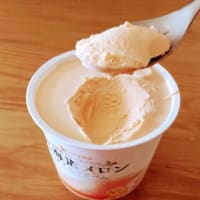北海道メロン    アイスクリーム