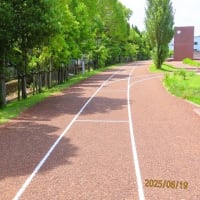 今日は水辺公園・自然ふれあい生態園へ