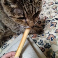 暑くても喰うのだ
