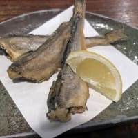 ホテル前で　秋田満喫