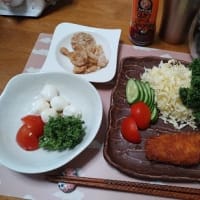 冷やし中華はじめました