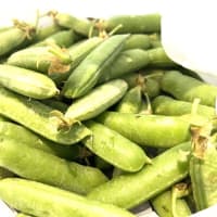 5月10日（土）②