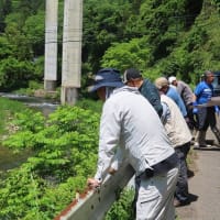 久日市＆琵琶湖産アユの放流