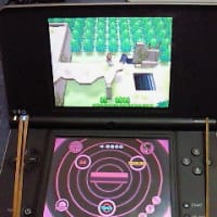 片手で色違いポケモンを出すための固定リセットのやり方 自己流 いい加減本気出します2