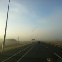 ワイカト地方の朝の霧