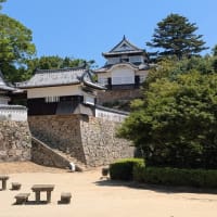 Godiego in 福山 6/28