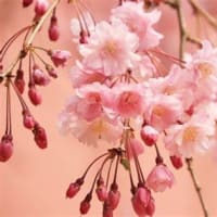 4月のグループレッスン予定