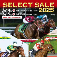 【セレクトセール2025(Select Sale)】の「オンラインカタログ」が公開