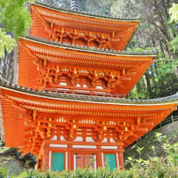 当尾の里を訪ねるー１！・・・岩船寺