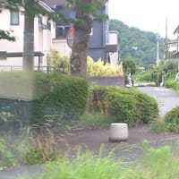 定番
