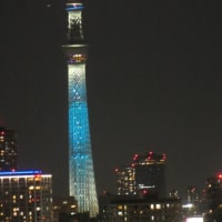 日向坂46の虹開催記念特別ライティング21