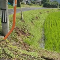 【025年07月15日 接道整備道路路線現況】