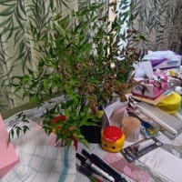 殺すなら、活かして見せよう、ナンテンを