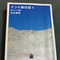 インドに行くから「中谷美紀・インド旅行記１」何度も読むよ❗️