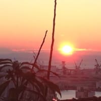 謹賀新年2016