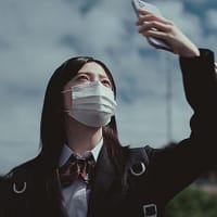 『この夏の星を見る』