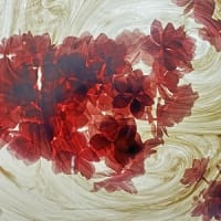 講師は旧知の写真家